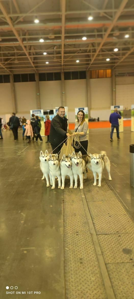 Stamiel Kennel News Euro Dog Show