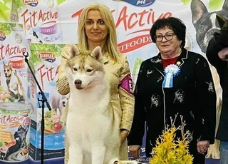 Békéscsaba CACIB Dog Show