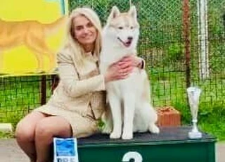 National Dog Show Bajmok