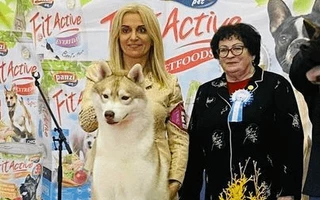 Békéscsaba CACIB Dog Show