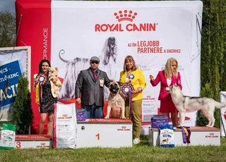 Pécs CACIB Dog Show