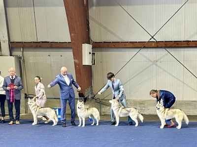 European Dogshow 