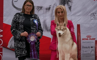 Pécs CACIB Dog Show