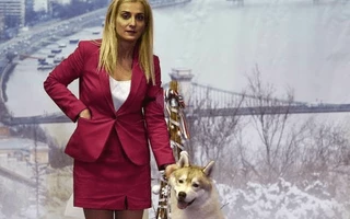 Winter Dog Show Budapest